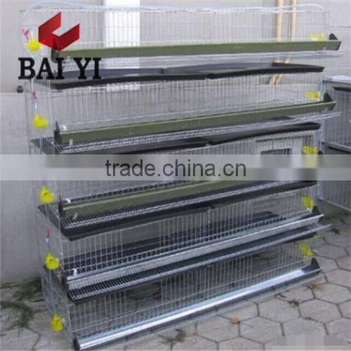 Manufacturing Durable Low Price Wire Mesh Layer Cage For Quail(hot sale)