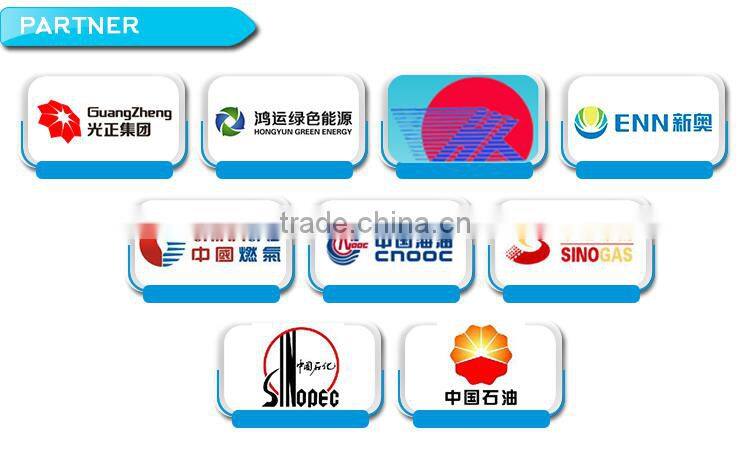 salable intelligentized single mass flowmeter LNG dispenser