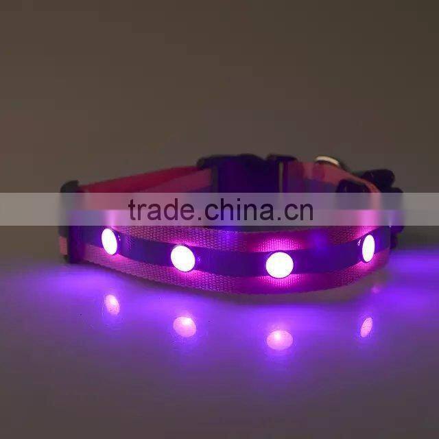 light up you and your pet dog evening dog collar with led lights