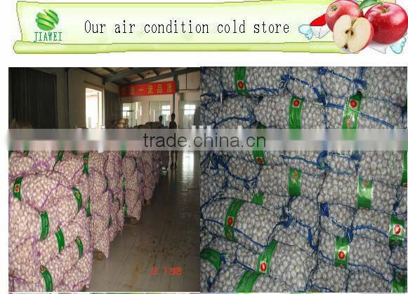 Garlic Type and Liliaceous Vegetabless Product Type natural garlic fresh garlic