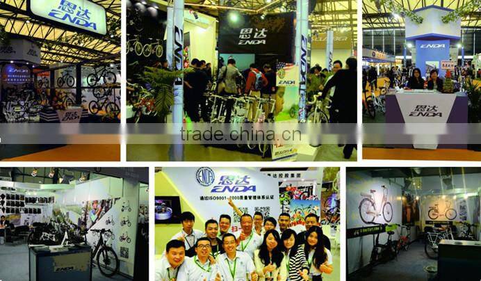 28" aluminium MTB electric bike cheap bike-TDA28M004