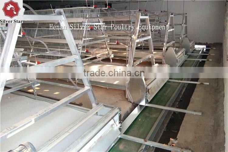 3 tier design A type ladder layer cages for chickens with scarpper manure removal system