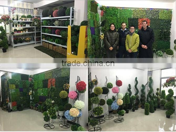 Export Succulent Plants Artificial Succulent Plants Bonsai Succulent Plants