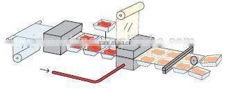 Jienuo automatic thermoforming vacuum sealer for food