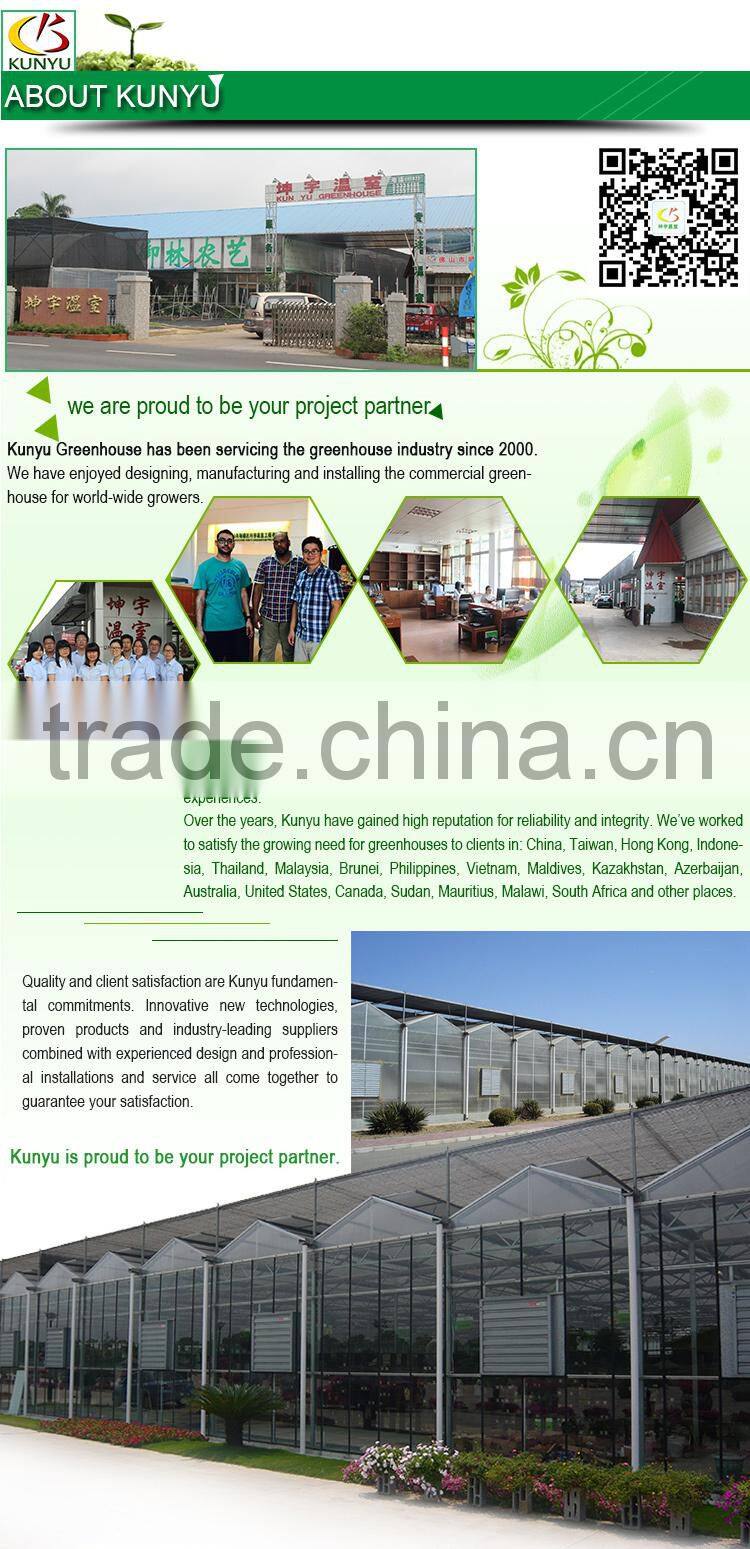 Galvanized steel frame greenhouse for Agriculture
