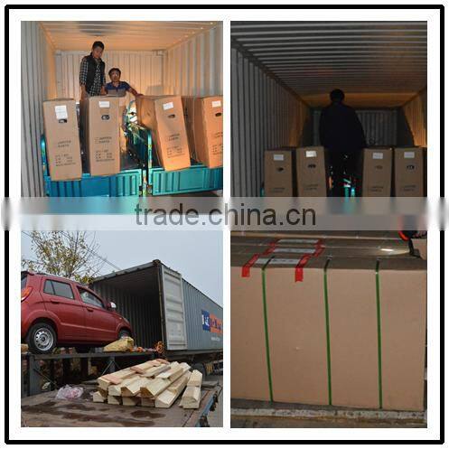 low price with high quality mini electric bikeBC_P for sale