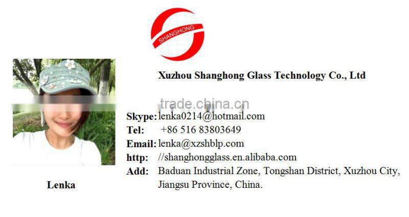 250ml home use decorative glass aroma diffuser bottle