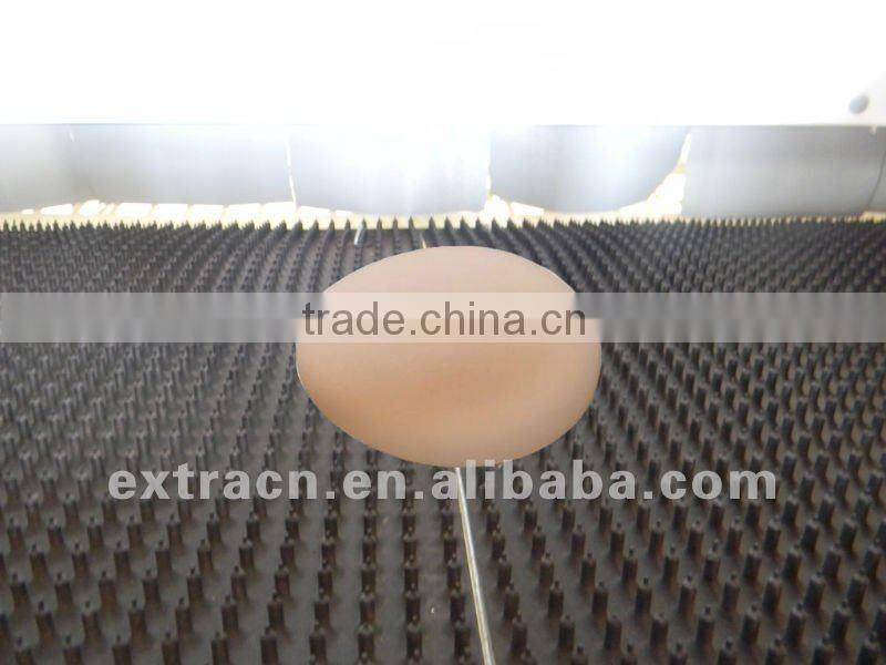best selling automatic chicken nest