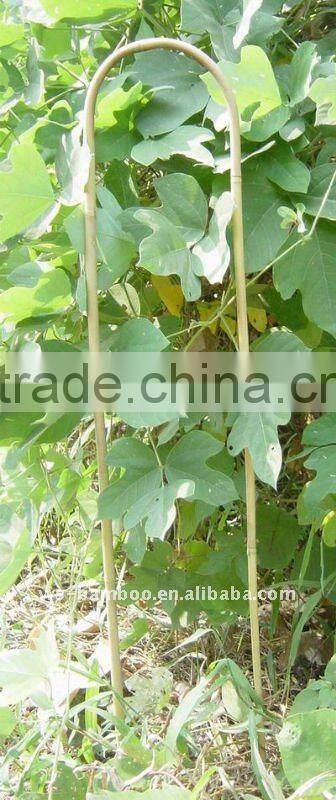 Using support plant and flower little bamboo hoop