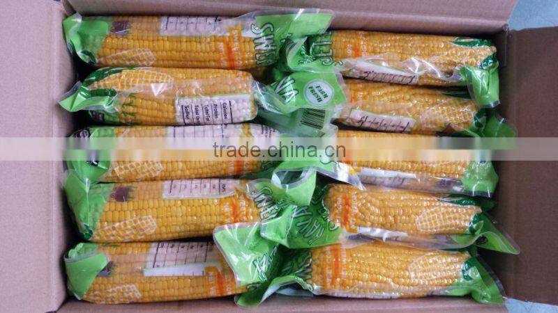 Cooked Vacuum Sweet Corn Snack