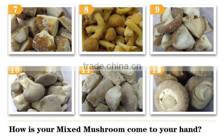 Common Cultivation dry oyster mushroom