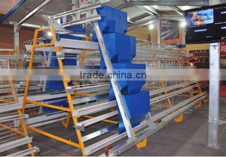 Automatic chicken feeding machine