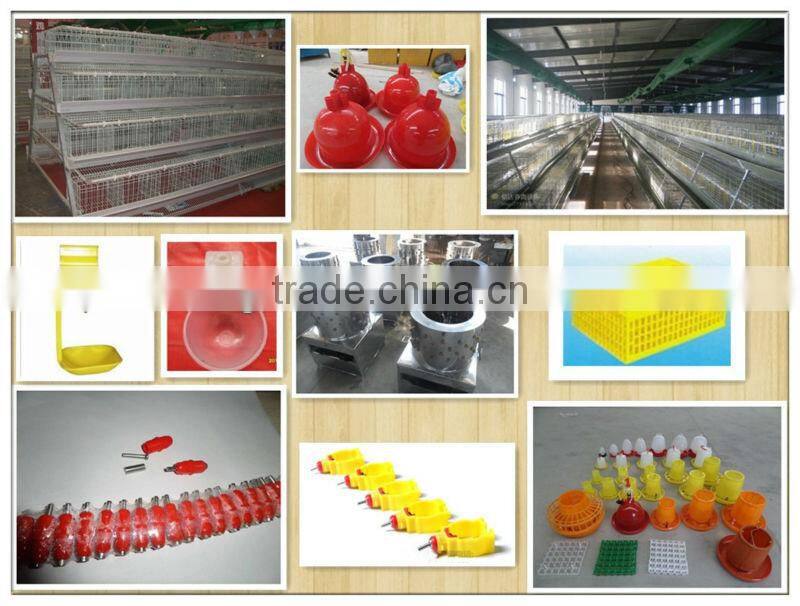 Stainless Steel Killing Cone, poultry killing cone
