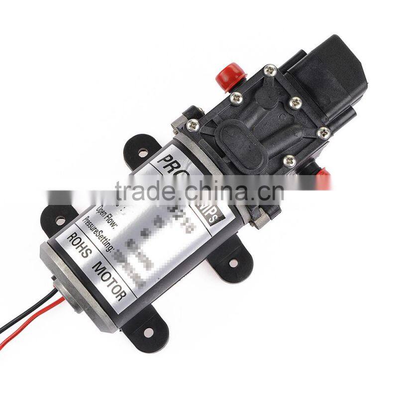 Hot Sale Car Wash Micro Diaphragm High Pressure Water Pump with Automatic Switch