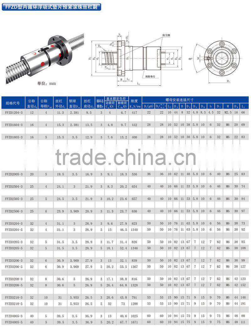 FFZD Type grinding ball screw