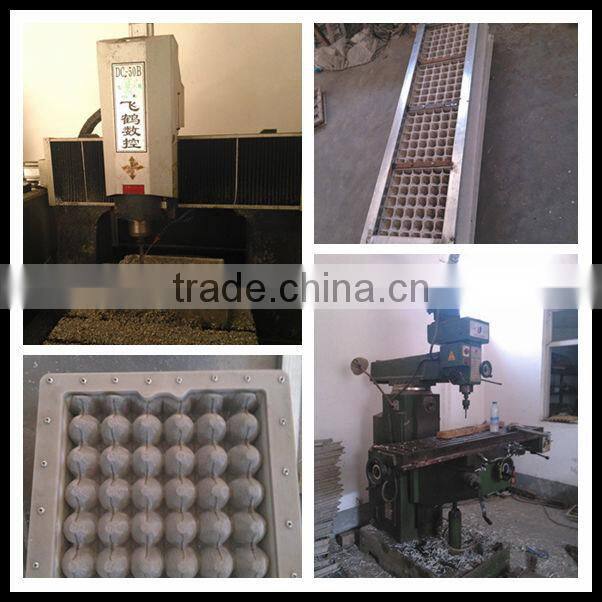 customer plastic frame egg moulding factory