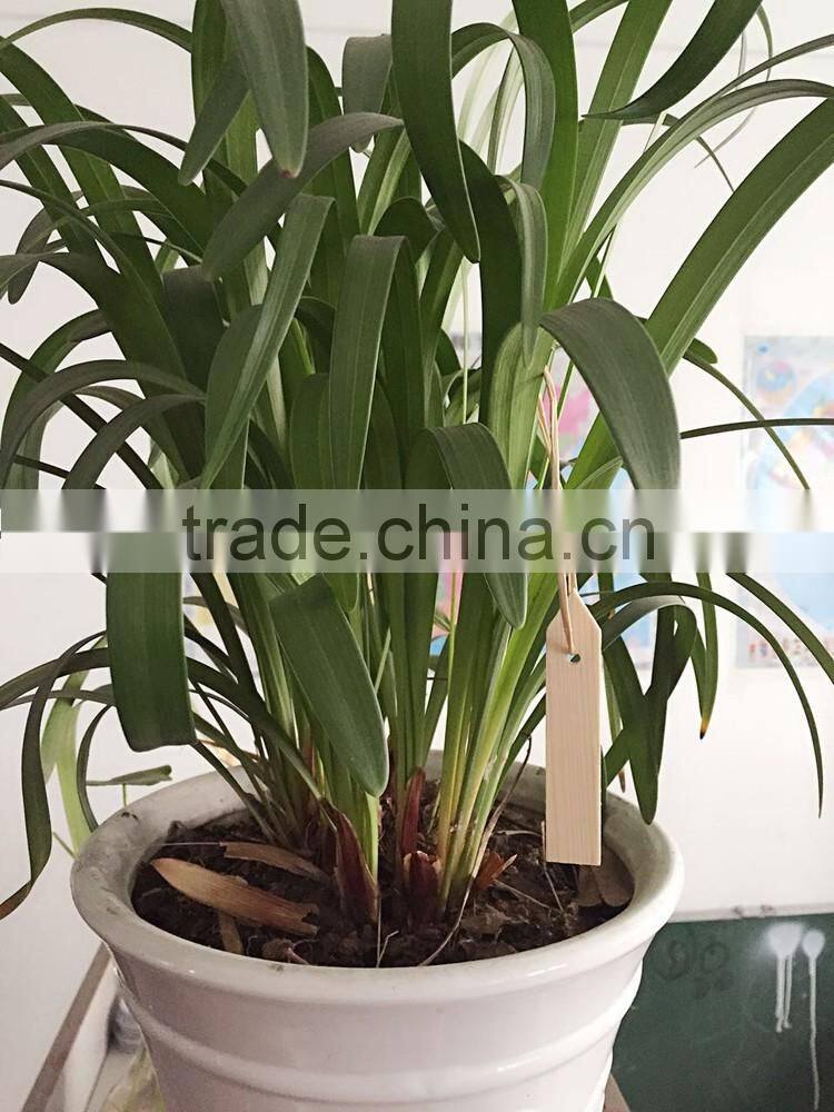 beautiful wooden plant marker garden tools part