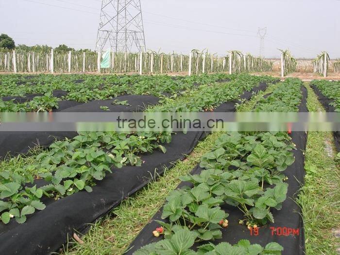 High Strength Garden Mat Erosion Control Plant Covers for Winter