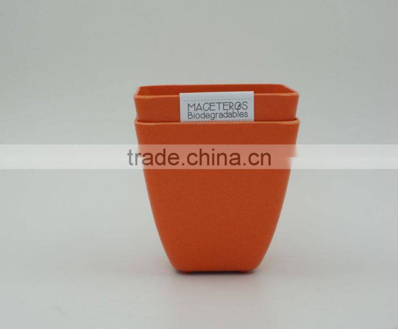Biodegradable bamboo mini plant pot and flower pot