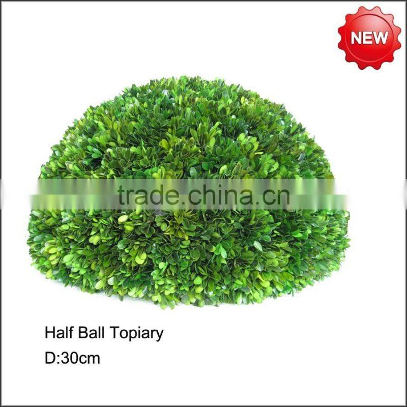 Preserved big boxwood ball topiary
