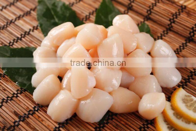 seafood IQF pinna pectinate