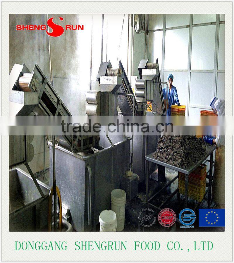 Hot sales frozen Salted Anchovy fish