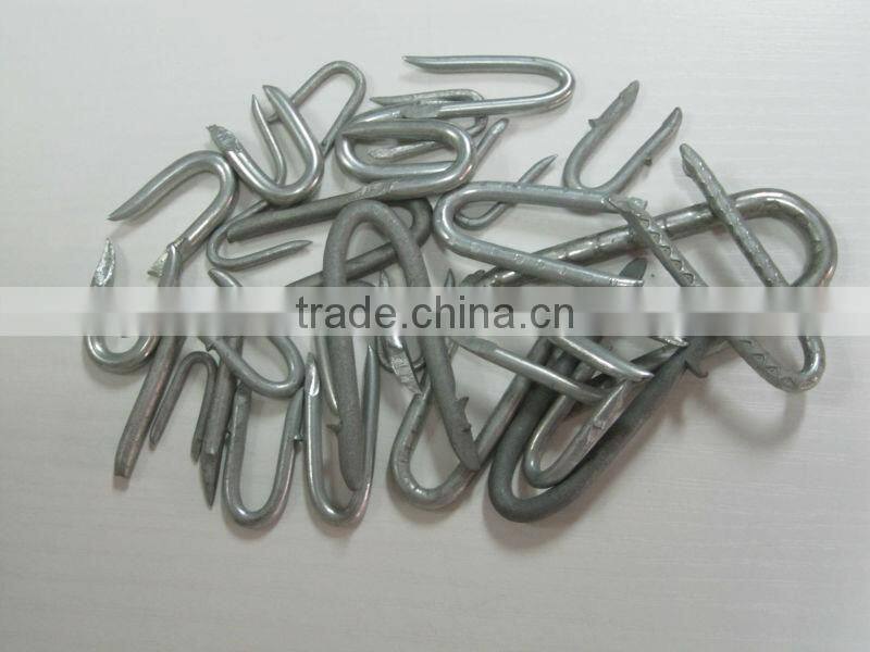 Polished fence staple, U shape wire nails(Manutacturer)