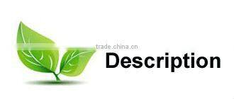 Custom Size Printed Woven Garment Silk Clothing Labels