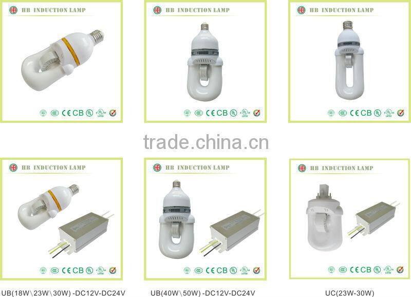 PRIVATE SOLAR CHARGE CONTROLLER OF ELECTRDELESS INDUCTION LAMP solar charge controller
