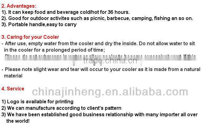2L Insulated water cooler jug