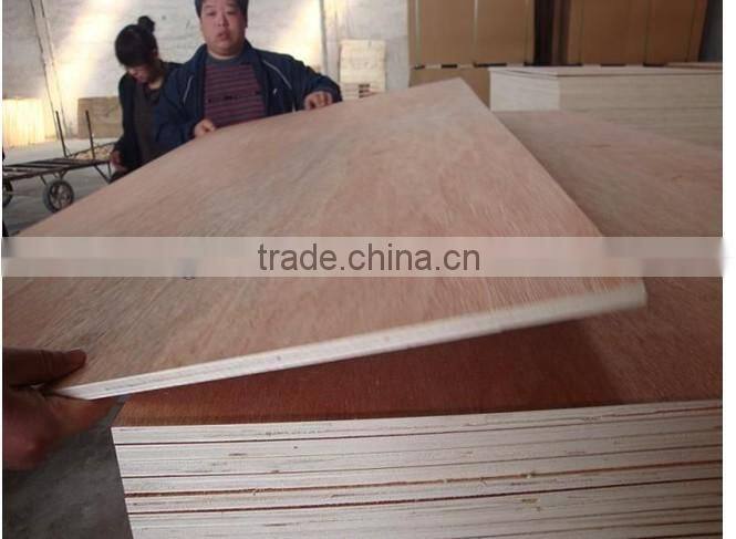 Plywood Prices Beech White Wood Plywood For Indoor/Outdoor Usages