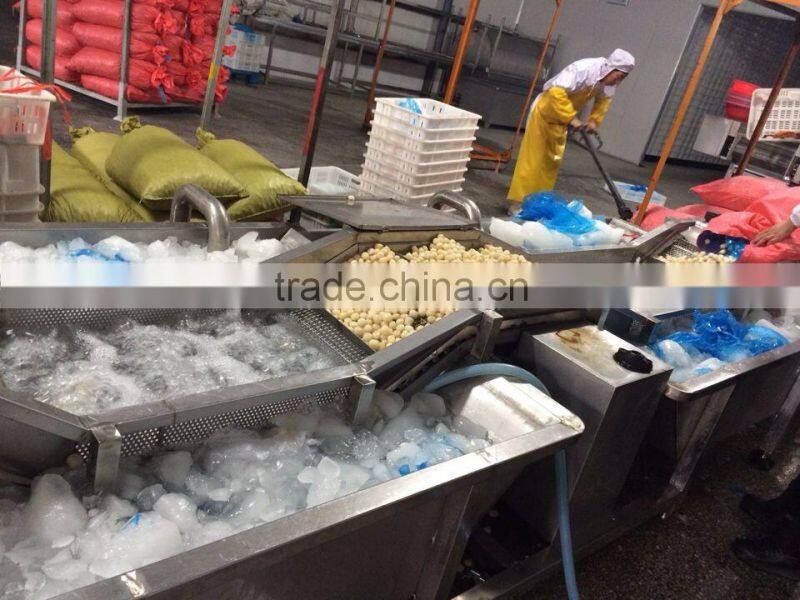 Frozen vannamei white Shrim