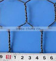 High Quality Hexagonal Wire Mesh with galvanized iron wire
