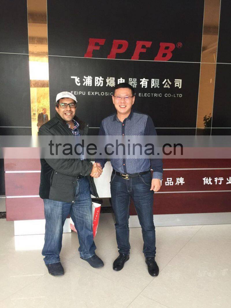 BJX51 Ex Junction Box safe explosion proof junction box 300*200mm