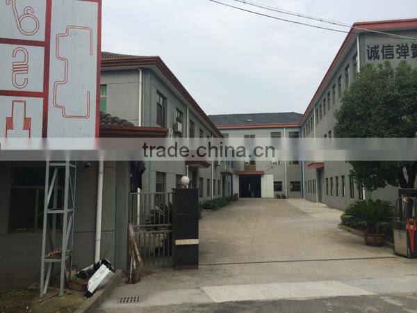 OEM galvanized extension spring