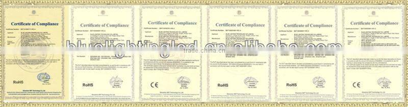 color changeable 60leds/m 72leds/m waterproof IP65 SMD 5050 RGB+CW flex Led strip