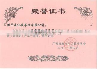 Yijian Organic Green Tea certified by China,EU, U.S,Japan