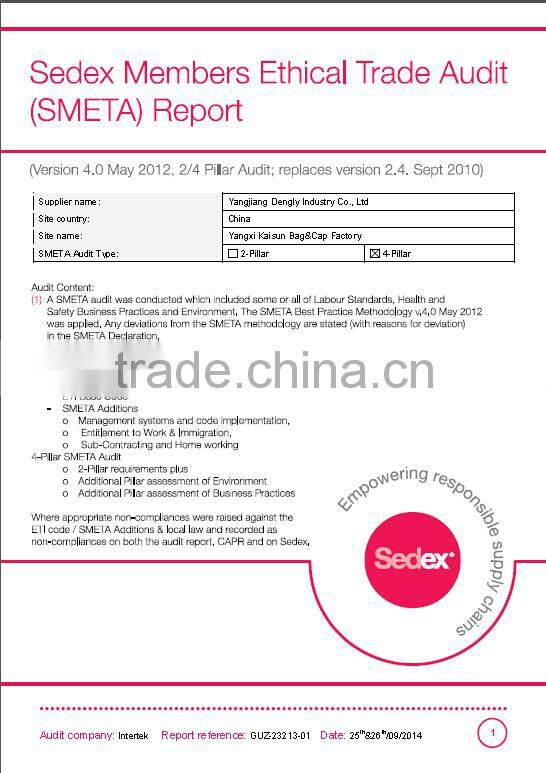 travel bag,600D polyester with tpe backing travel bag, sports bag