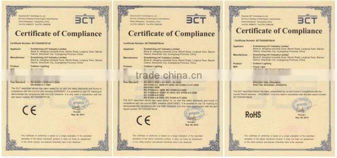 High Lumen Meanwell Driver waterproof 50w sea boat led floodlight