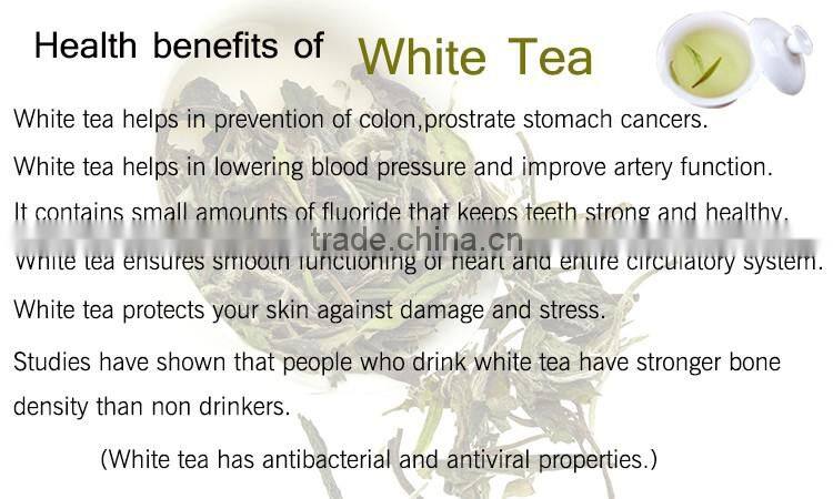 2016 Fresh Best White Tea Brands White Tea Price