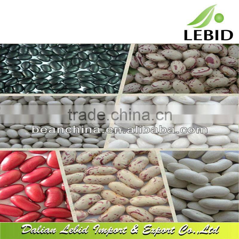 2016 new crop small round shape white navy beans