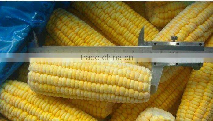 IQF sweet corn frozen sweet corn Huazhen variety