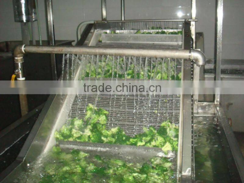 Frozen Broccoli Exporter