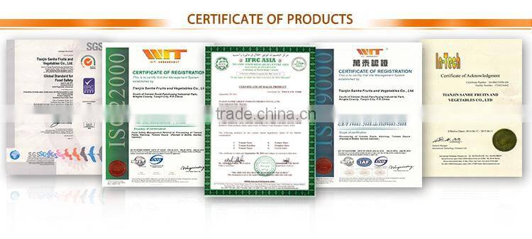 oem brand canned tin packing tomato fresh ketchup tomato paste sauce