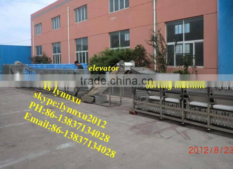hot sale potato grading machine