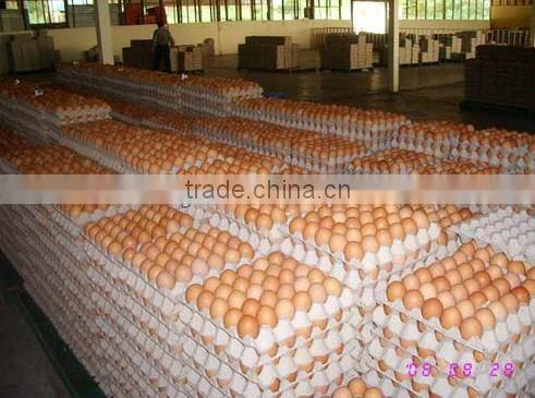 molded paper pulp packaging