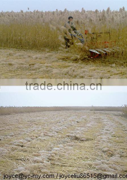 small walking tractor corn reaper