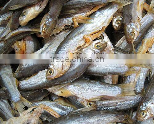 Reliable commercial fish dehydrator machine