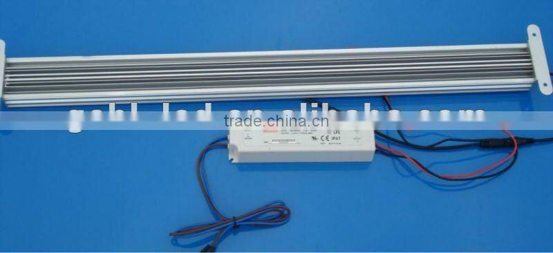 hot sale LED reef light coral