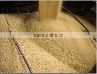 animal feed soybean meal
